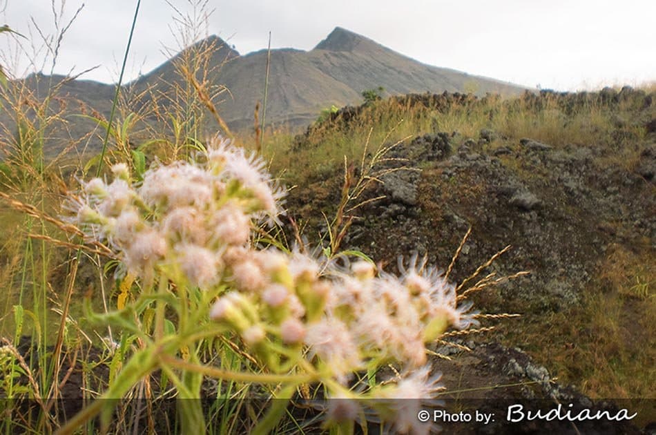 Bali Active Volcano & Sunrise Hiking - Photo 10