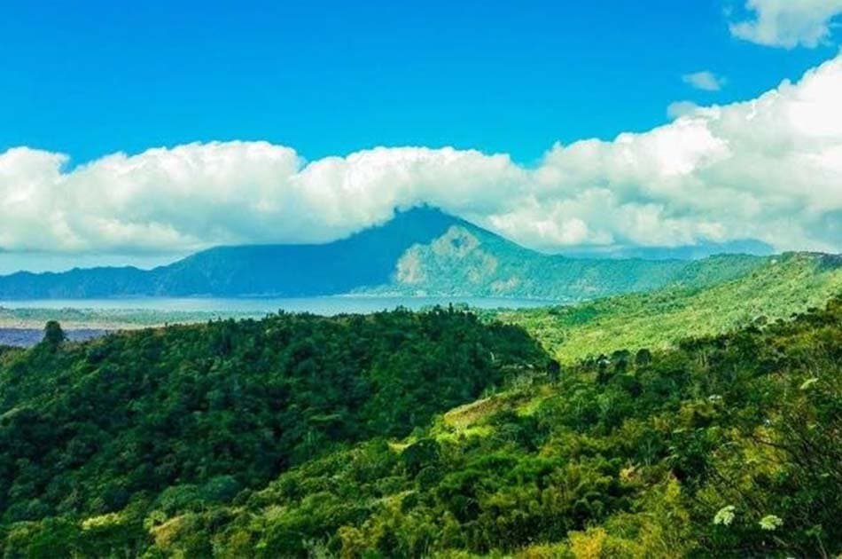 Bali All Inclusive Entrance Ticket Ubud Rice Terraces, Temples & Volcano Group Day Tour - Photo 4