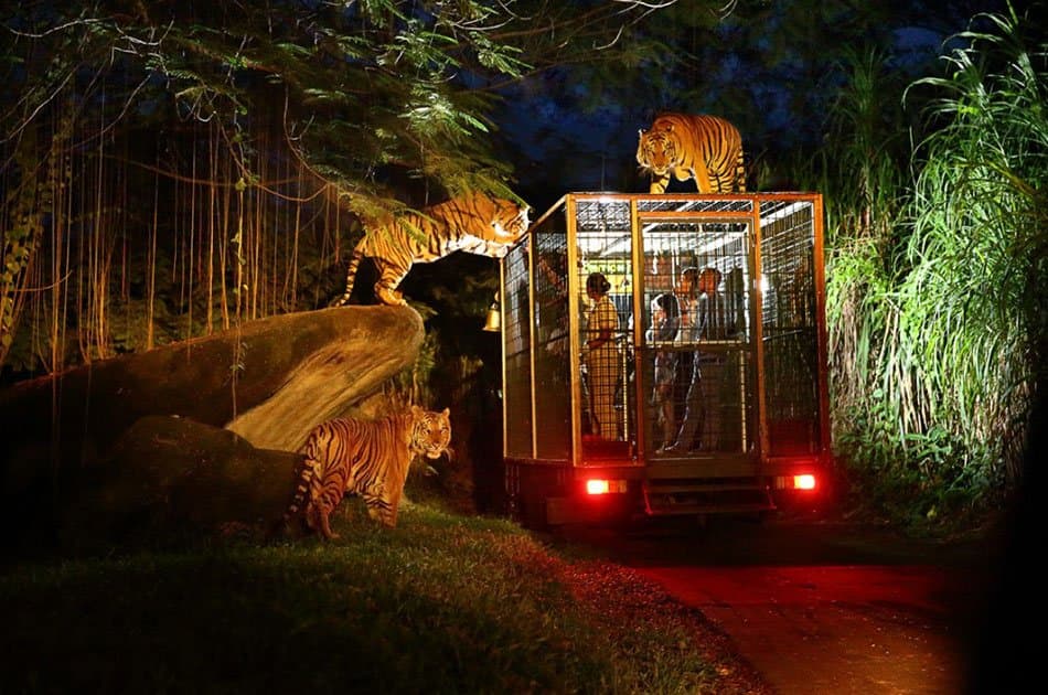 Bali Animals Lover Day Tours - Photo 8