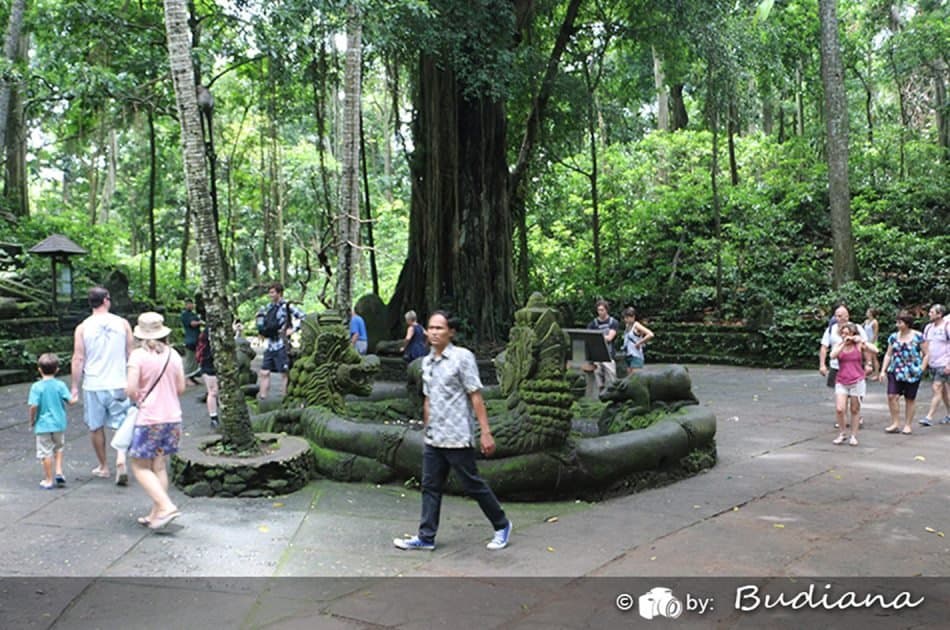 Bali Animals Lover Day Tours - Photo 19