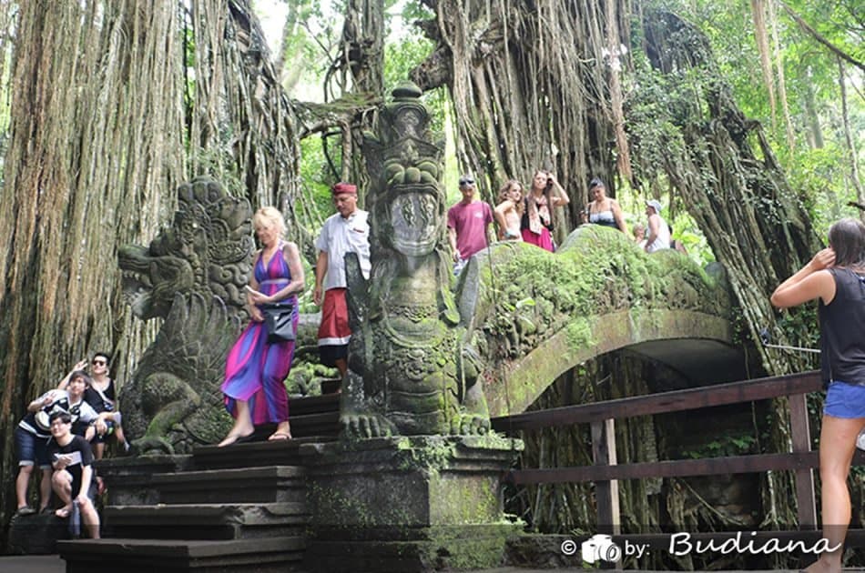 Bali Animals Lover Day Tours - Photo 21