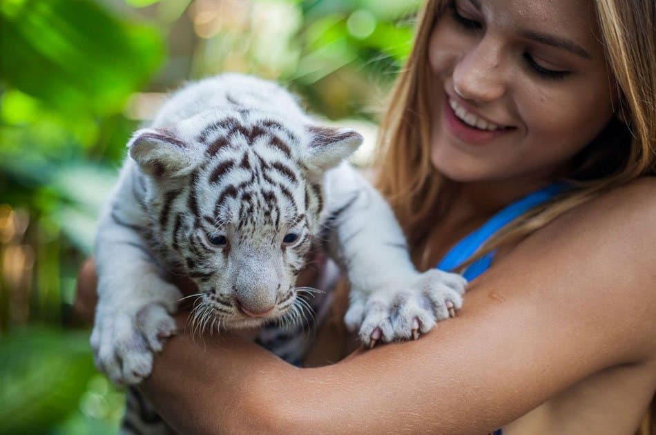 Bali Animals Lover Day Tours - Photo 2