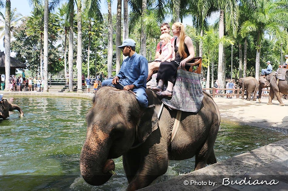 Bali Animals Lover Day Tours - Photo 34