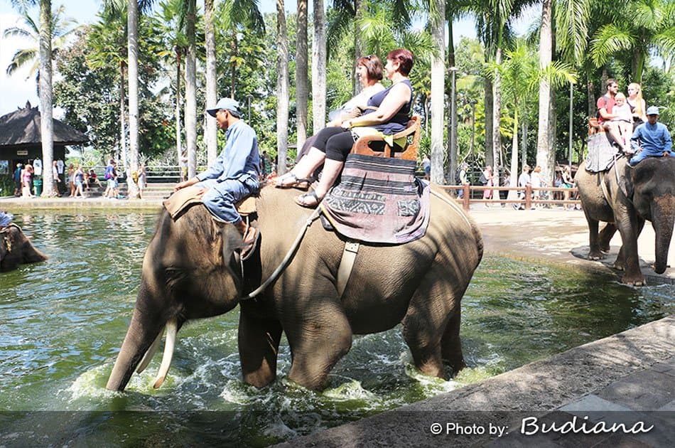 Bali Animals Lover Day Tours - Photo 36