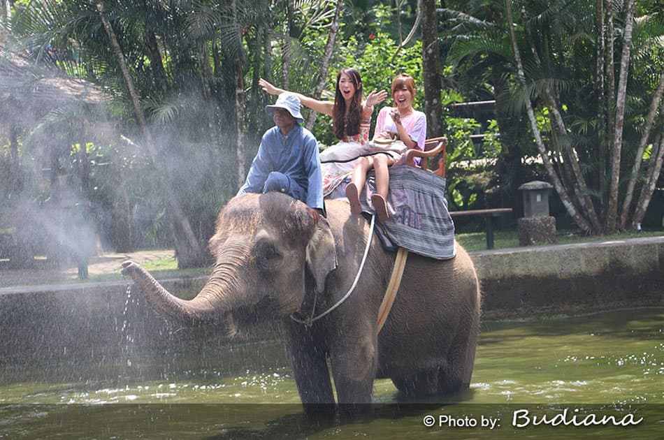 Bali Animals Lover Day Tours - Photo 39