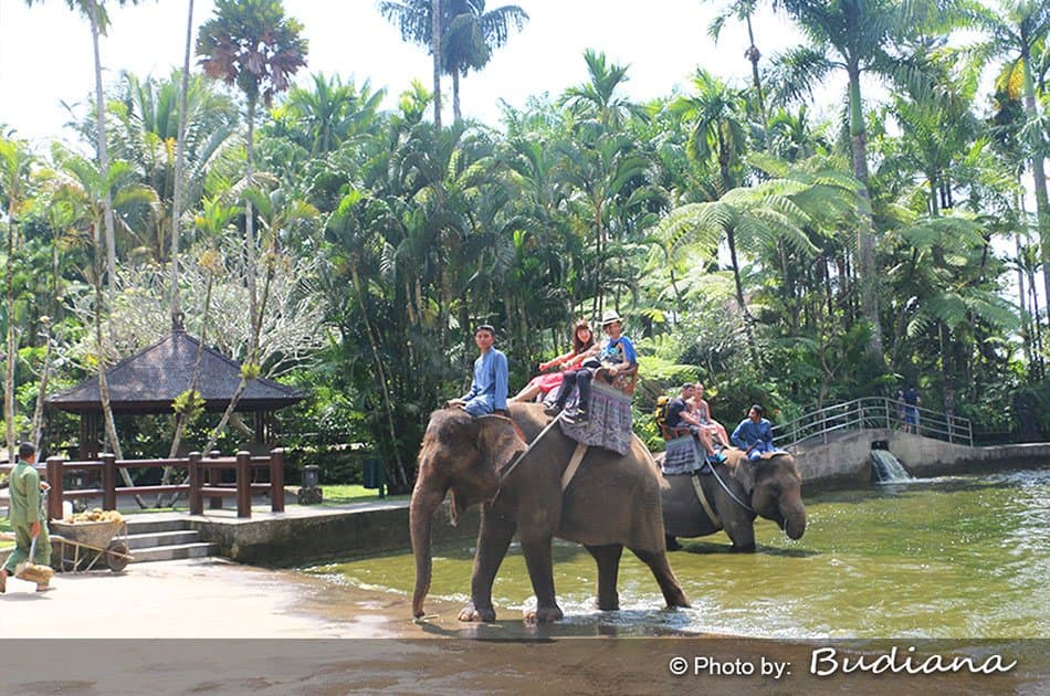 Bali Animals Lover Day Tours - Photo 40