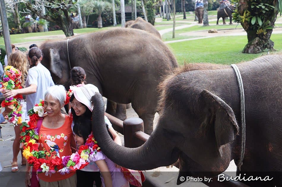 Bali Animals Lover Day Tours - Photo 25