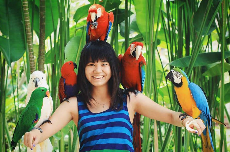 Bali Animals Lover Day Tours - Photo 51