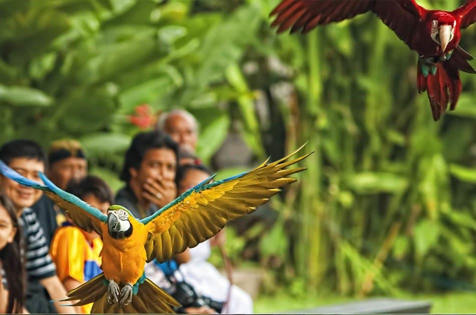Bali Animals Lover Day Tours - Photo 45