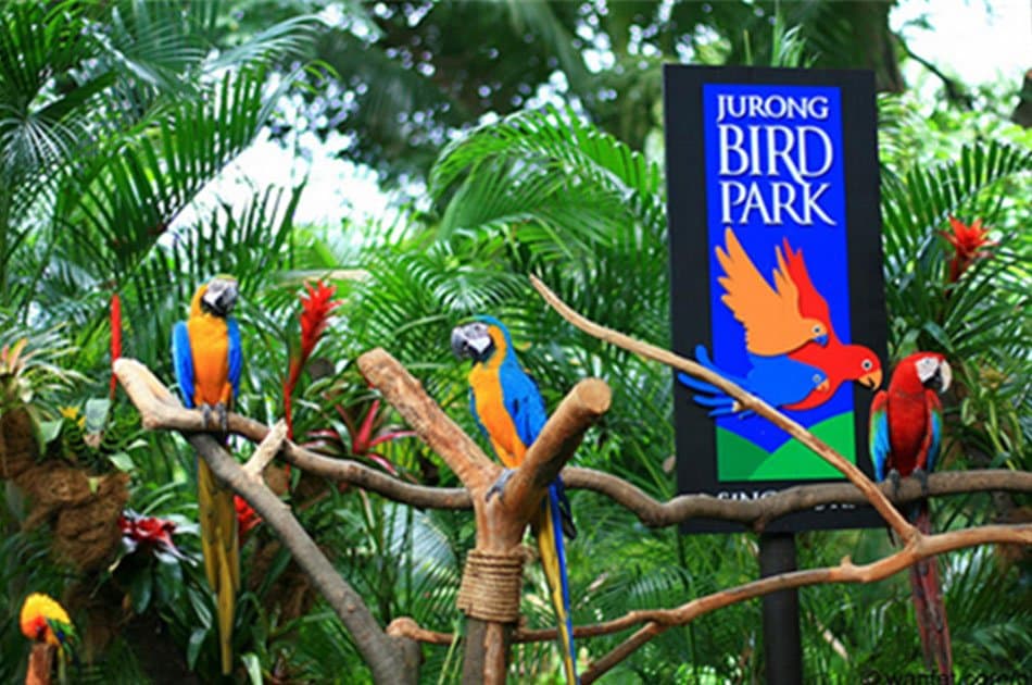 Bali Animals Lover Day Tours - Photo 47