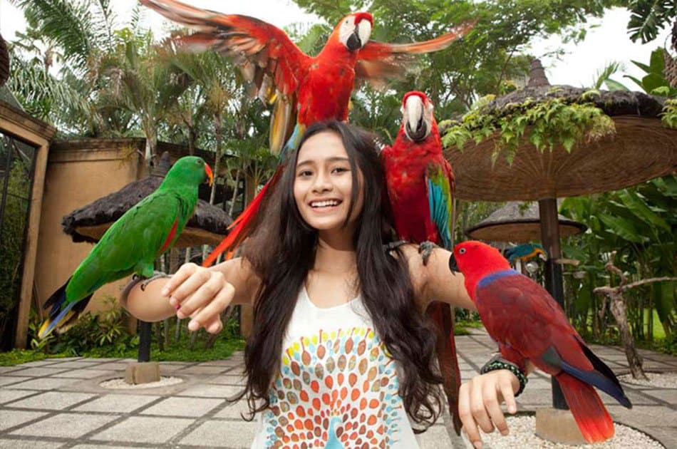 Bali Animals Lover Day Tours - Photo 48