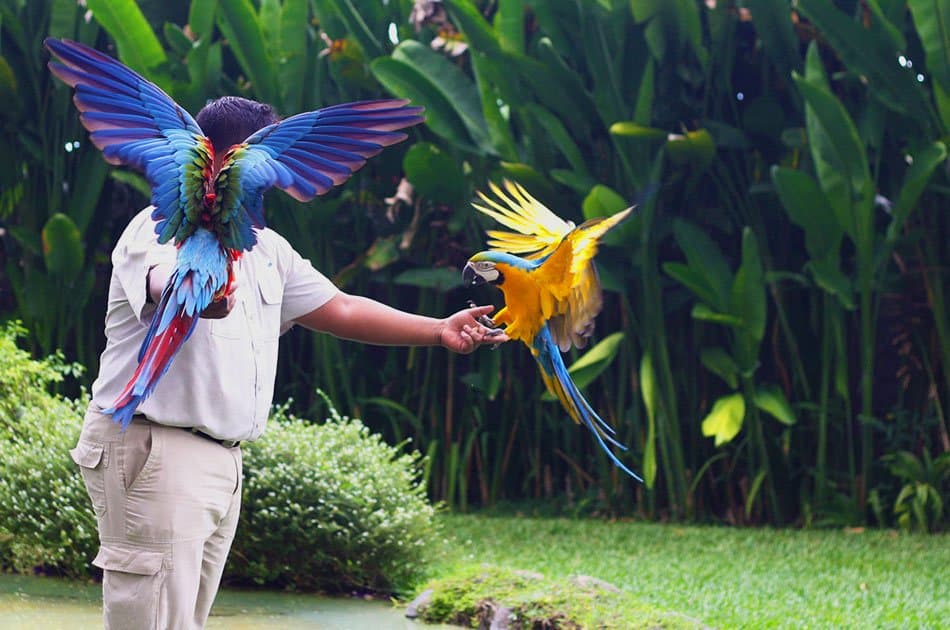 Bali Animals Lover Day Tours - Photo 49