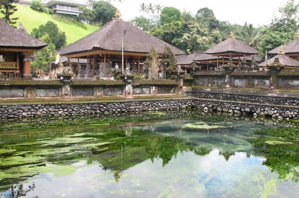 Bali Dolphin Watching Cruise, Culture & Ubud Private Tour - Photo 13