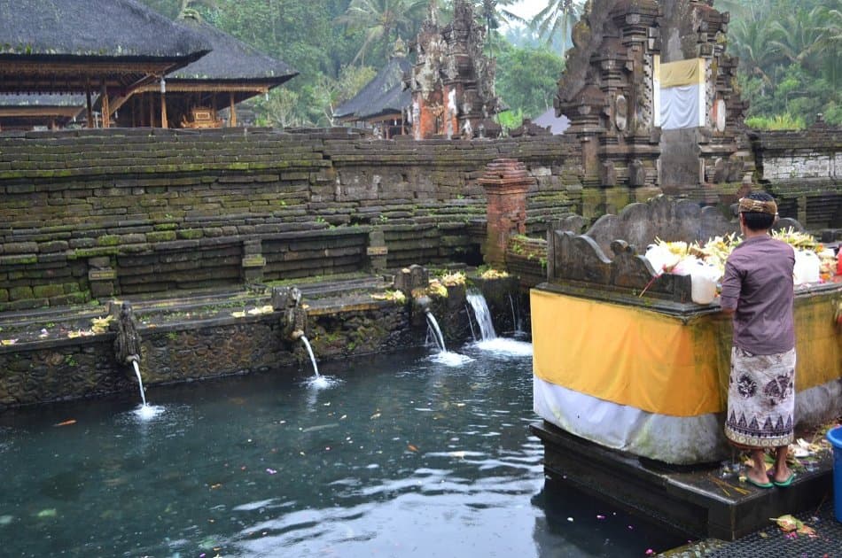 Bali Dolphin Watching Cruise, Culture & Ubud Private Tour - Photo 15