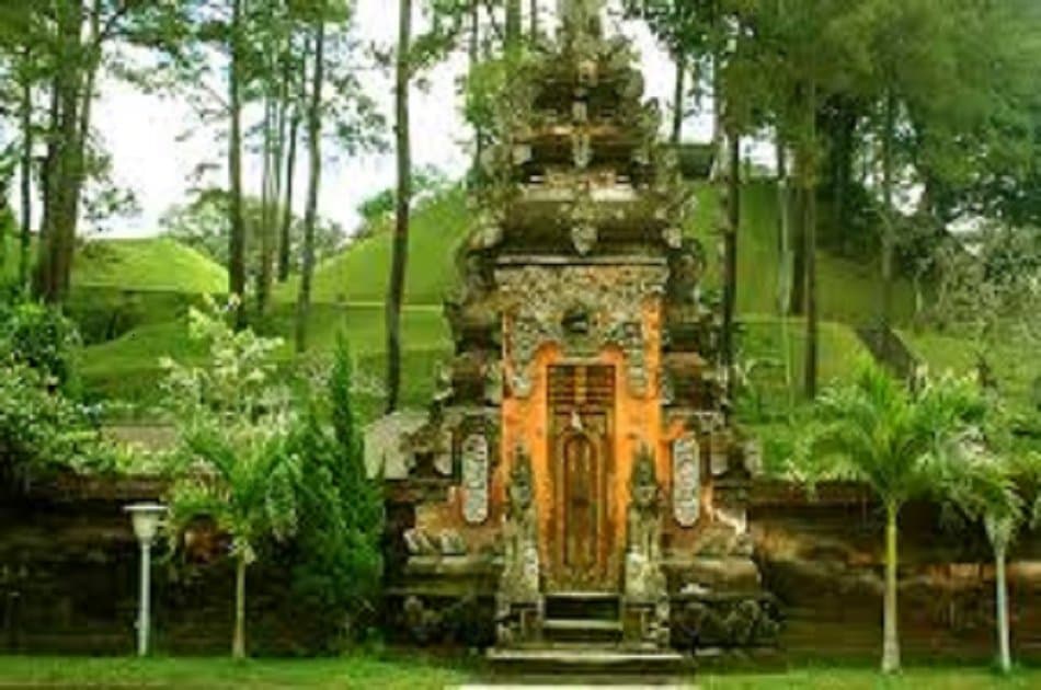 Bali Dolphin Watching Cruise, Culture & Ubud Private Tour - Photo 12
