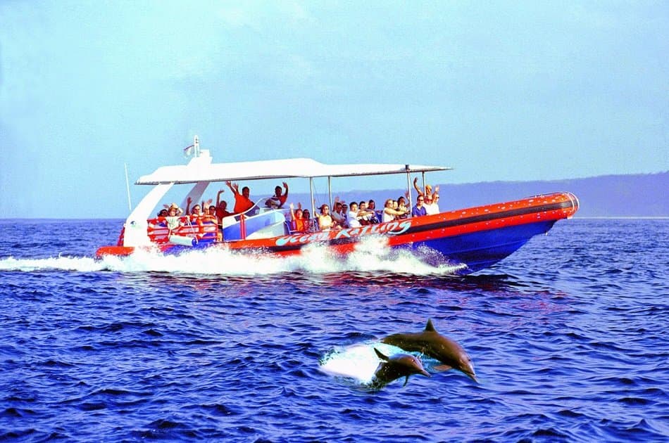 Bali Dolphin Watching Cruise, Culture & Ubud Private Tour - Photo 19