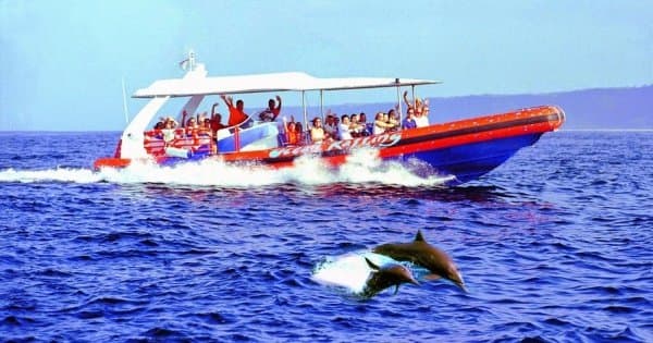 Bali Dolphin Watching Cruise, Culture & Ubud Private Tour - Photo 1