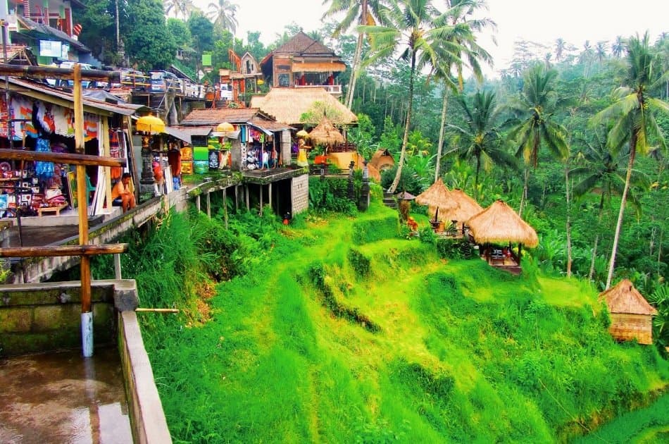 Bali Dolphin Watching Cruise, Culture & Ubud Private Tour - Photo 10