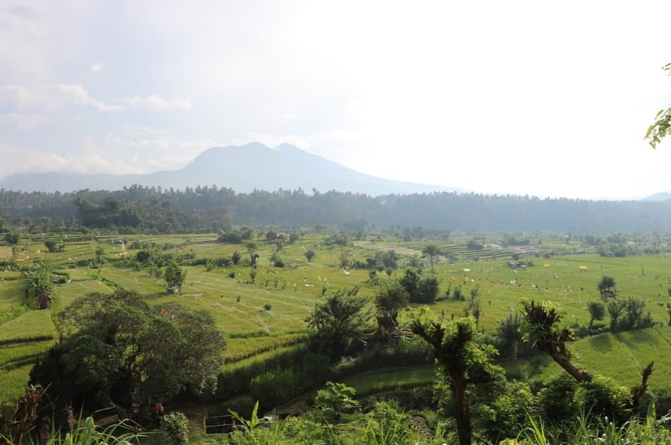 Bali Full-day Private Customized Tour - Photo 5