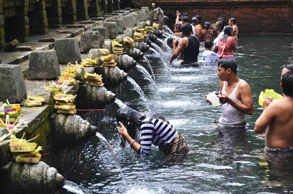 Bali Highlights Private Day Tour - Photo 3