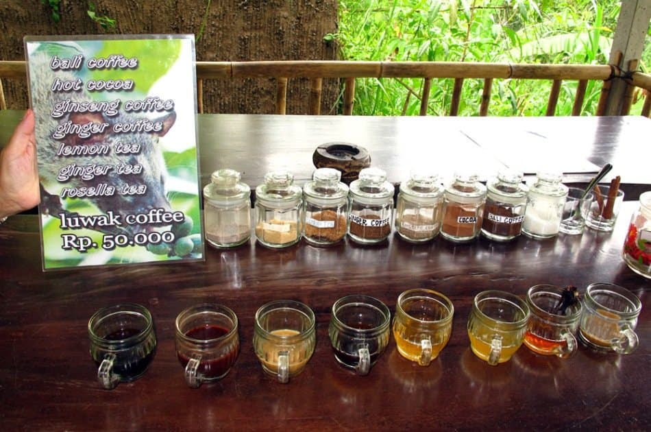 Bali Hike And Coffee Plantation With Breakfast - Photo 7