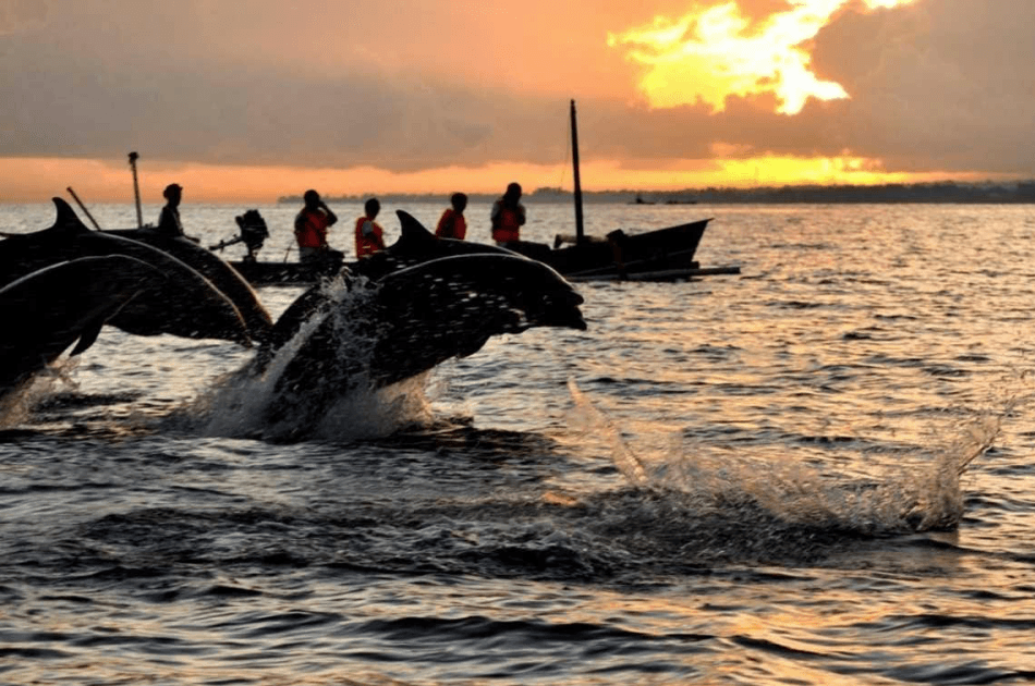 Bali Lovina Dolphin Tour - Photo 4