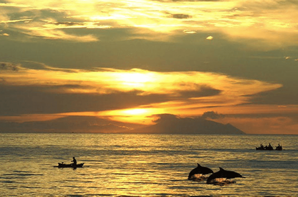 Bali Lovina Dolphin Tour - Photo 8