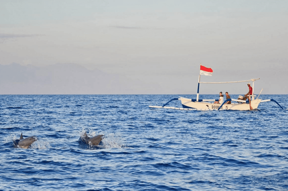 Bali Lovina Dolphin Tour - Photo 6