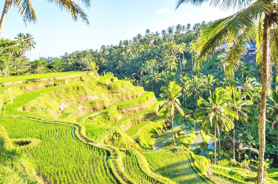 Bali's Eat Pray Love: Experience The Movie Scenes - Photo 2