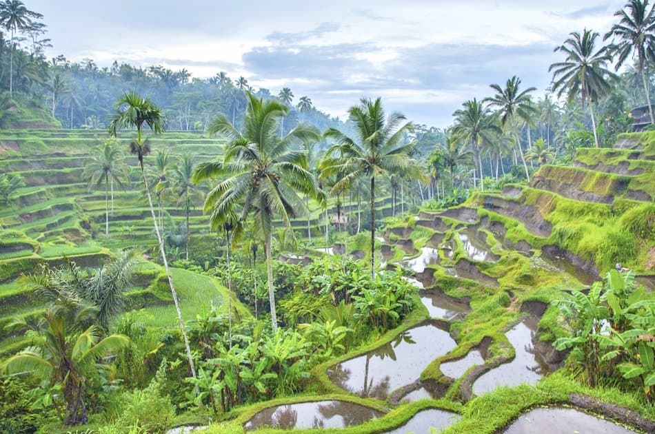 Bali's Eat Pray Love: Experience The Movie Scenes - Photo 7