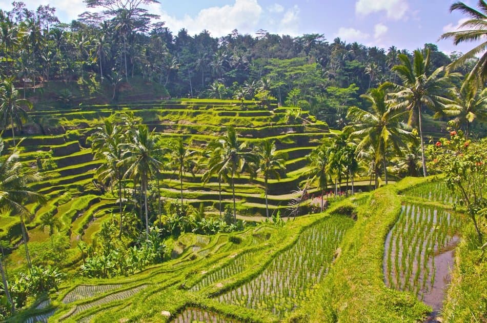 Bali's Mount Batur, Barong Dance, & Penglipuran Village Tour - Photo 14