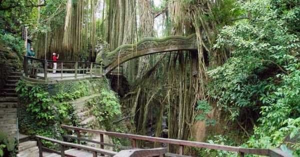 Best of Ubud with Tanah Lot Sunset Private Tour - Photo 1