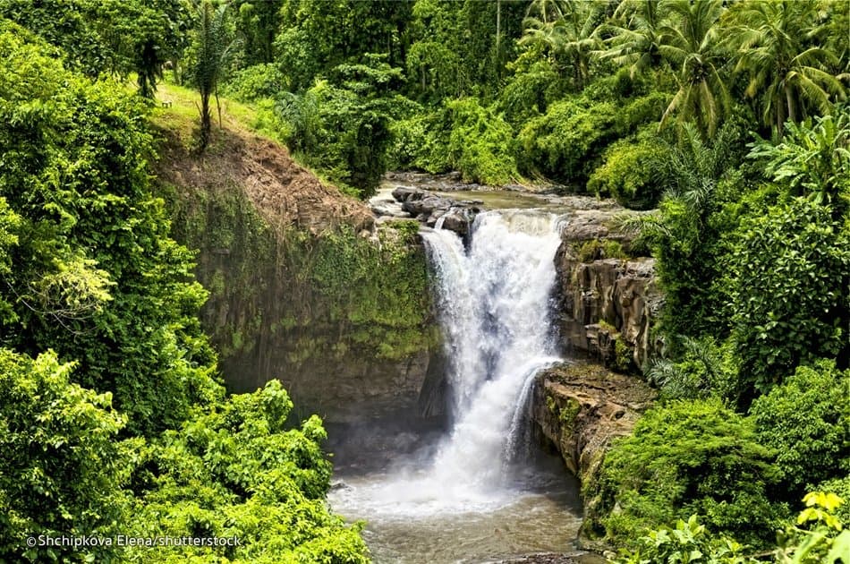 Best of Ubud with Tanah Lot Sunset Private Tour - Photo 3