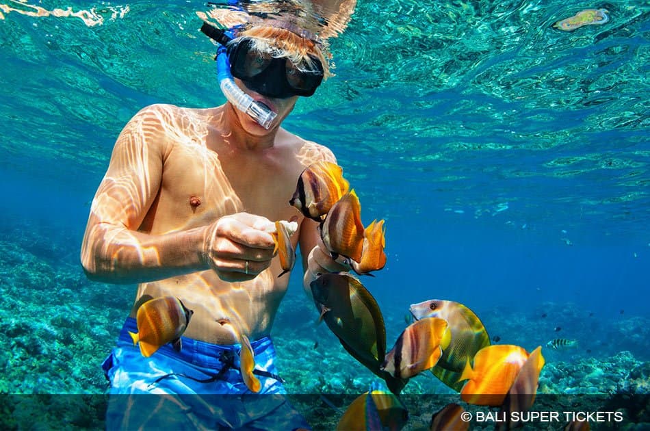Blue Lagoon Bali East Coast Snorkeling Tour - Photo 19