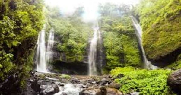 Discover the beauty of North Bali on a Full Day Tour - Photo 1