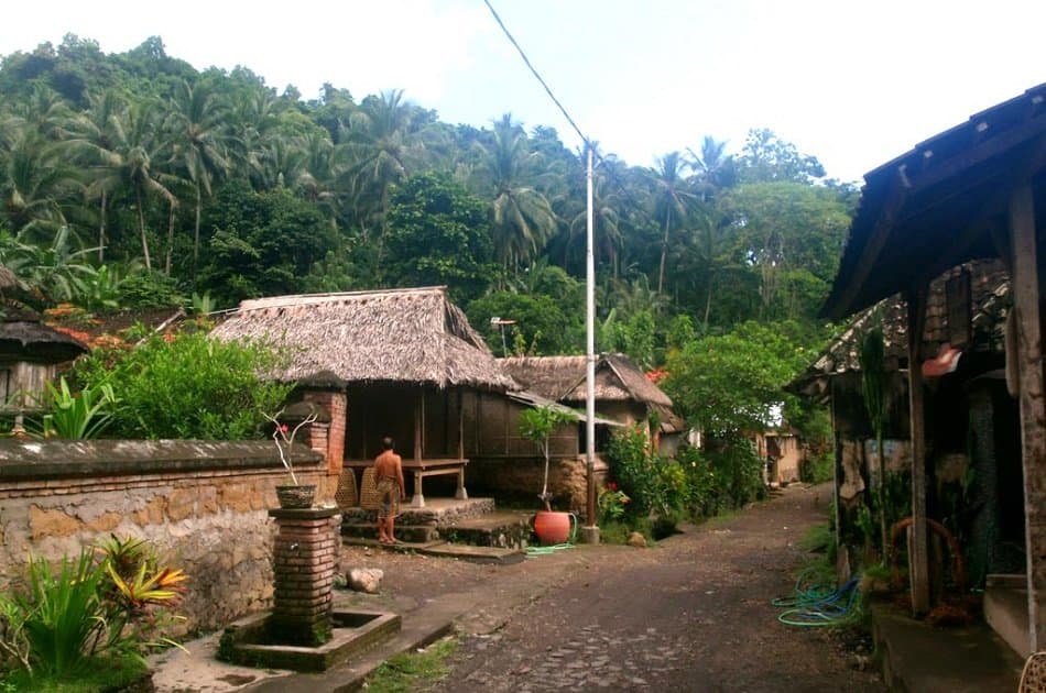 East Bali Private Tour - Photo 6