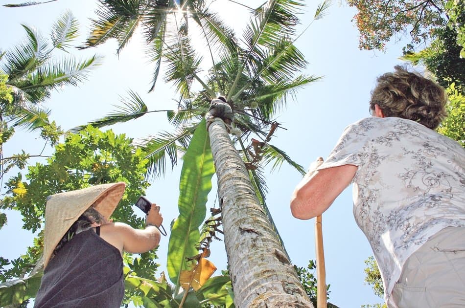 Experience Balinese Daily Life (with visit to Jatiluwih) - Photo 10