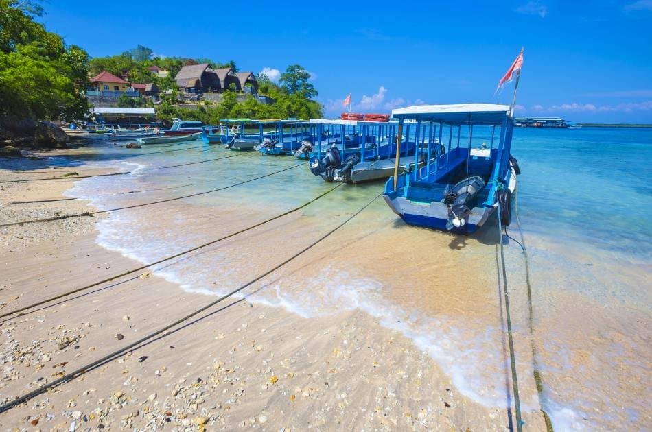 Full-Day Nusa Penida Island Bali Tour - Photo 5