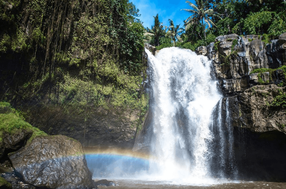 Full Day Private Tour Kintamani - Ubud - Tegenungan (Buffet Lunch in Kintamani) - Photo 4