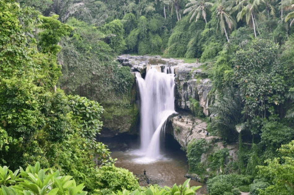 Full Day Private Tour Kintamani - Ubud - Tegenungan (Buffet Lunch in Kintamani) - Photo 12