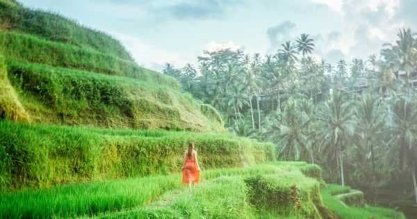 Full Day Wonder's of Bali Tour - Photo 1