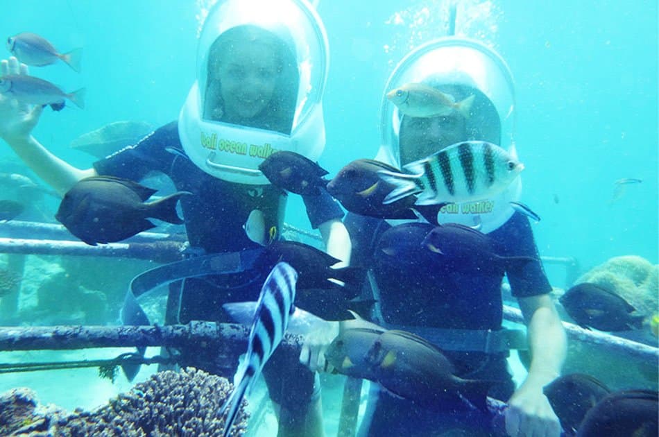 Half Day 3 in 1 - Coral Underwater Walks & Turtle Island Tour - Photo 7