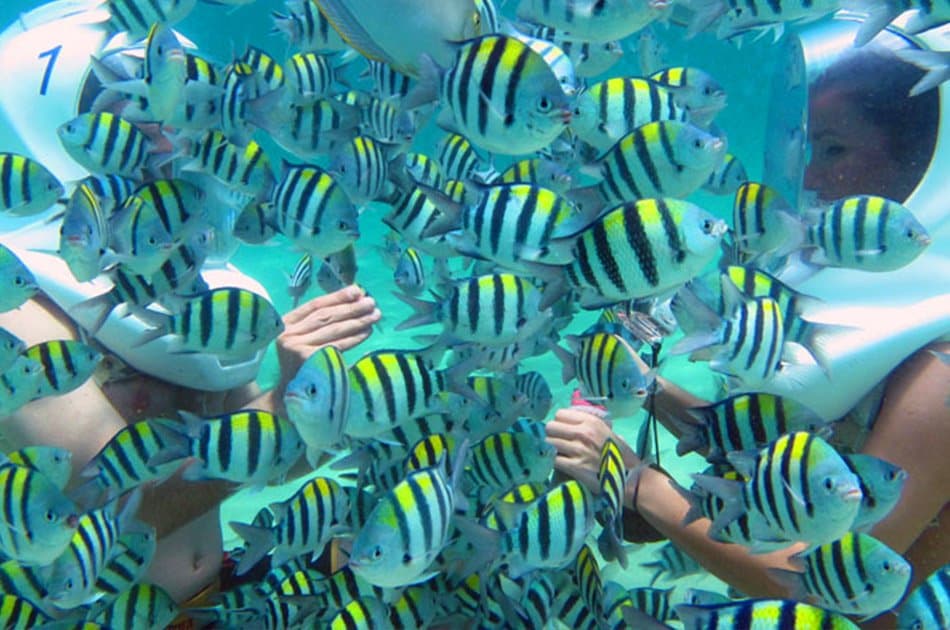 Half Day 3 in 1 - Coral Underwater Walks & Turtle Island Tour - Photo 6
