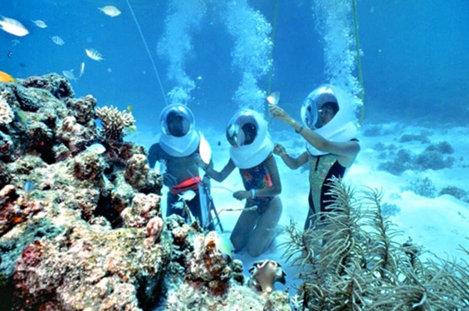 Half Day 3 in 1 - Coral Underwater Walks & Turtle Island Tour - Photo 4