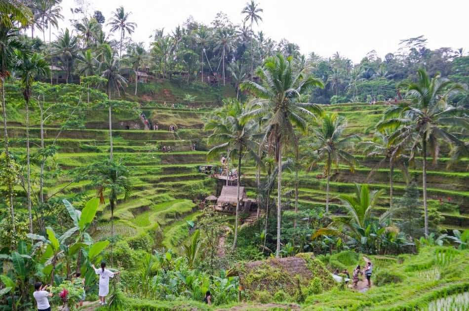Half Day Fascinating Ubud and Tampak Siring Private Tour - Photo 2