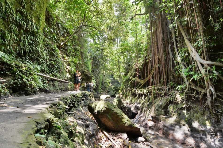 Half Day Fascinating Ubud and Tampak Siring Private Tour - Photo 5