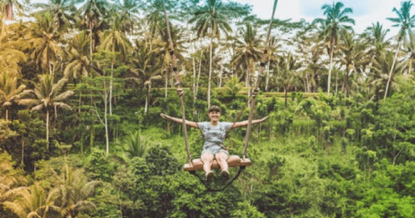 Half Day Jungle Hopper Experience in Bali - Photo 1