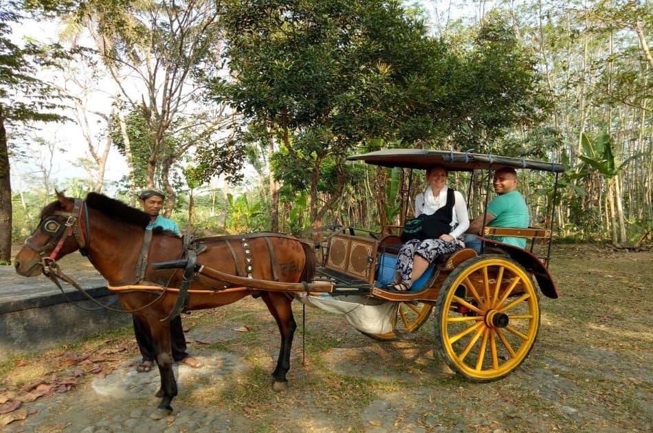Horse Carriage Village Tours in Borobudur, Yogyakarta - Photo 2