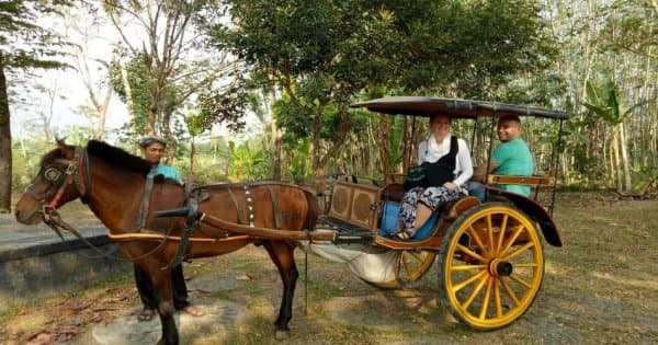 Horse Carriage Village Tours in Borobudur, Yogyakarta - Photo 1