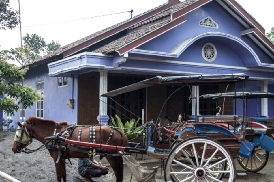 Horse Carriage Village Tours in Borobudur, Yogyakarta - Photo 6